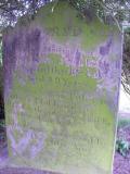 image of grave number 85463